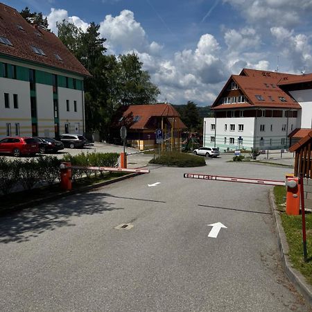 Apartman Kapy Lipno ليبنو ناد فلتافو المظهر الخارجي الصورة