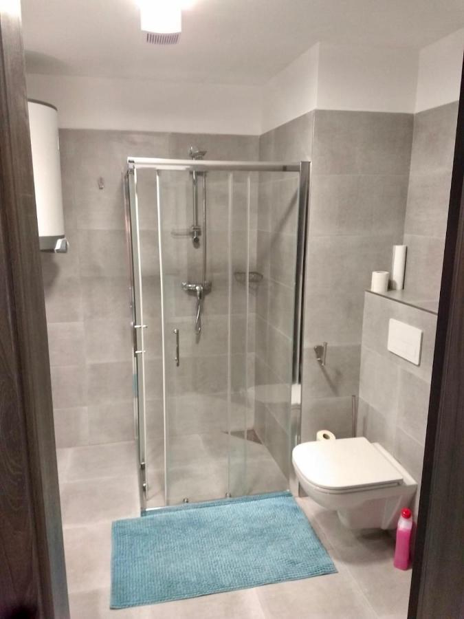 Apartman Kapy Lipno ليبنو ناد فلتافو المظهر الخارجي الصورة